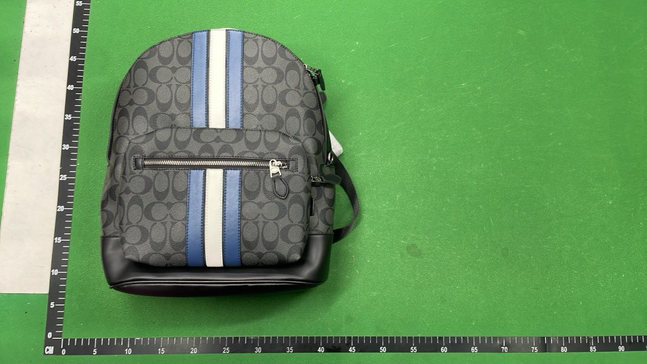 Coach Backpack