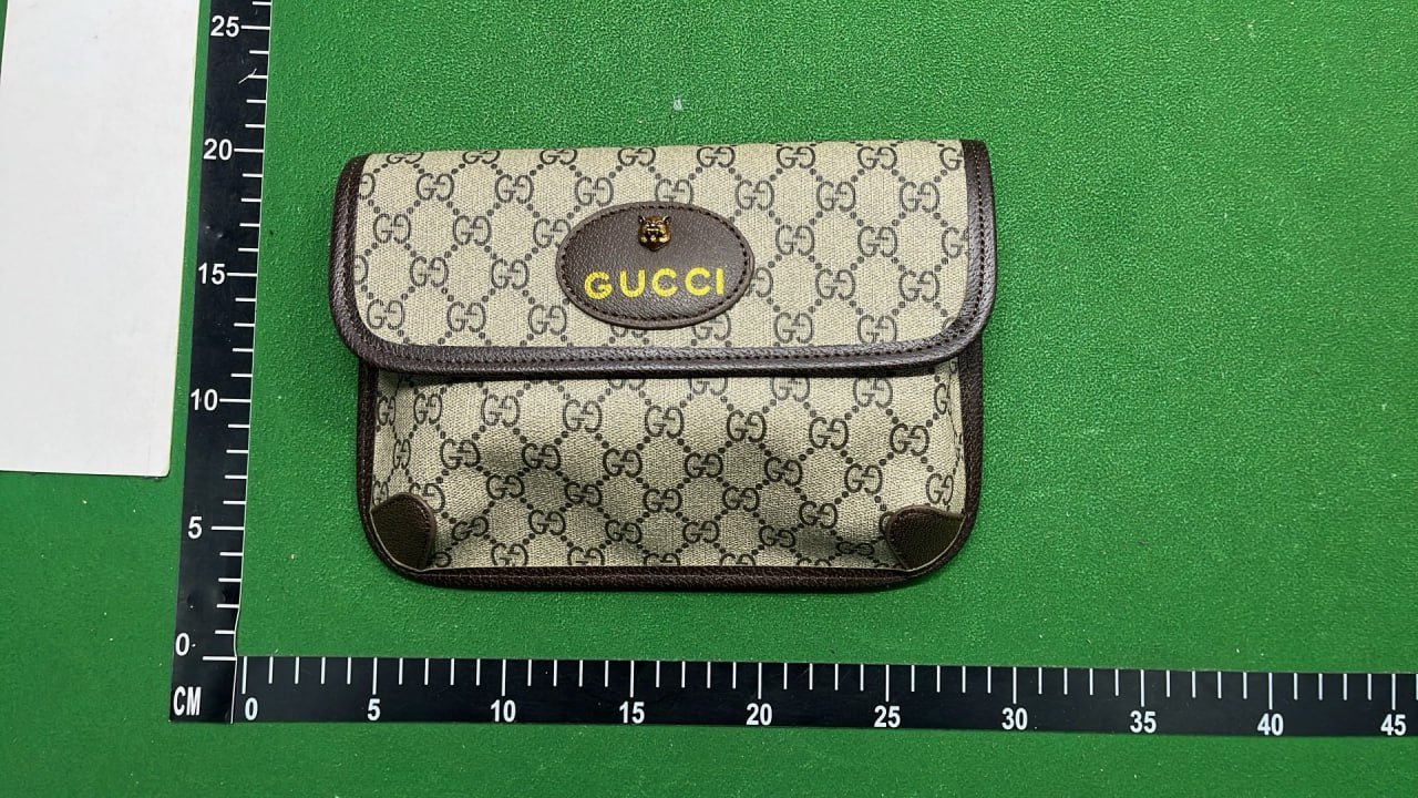 Gucci Dior Bag
