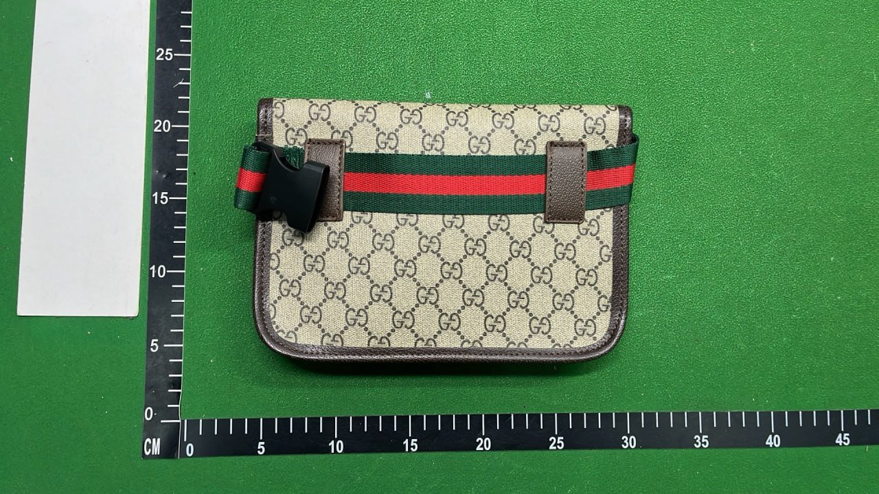 Gucci Dior Bag