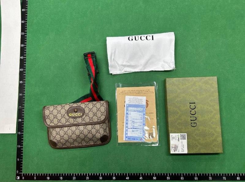 Gucci Dior Bag