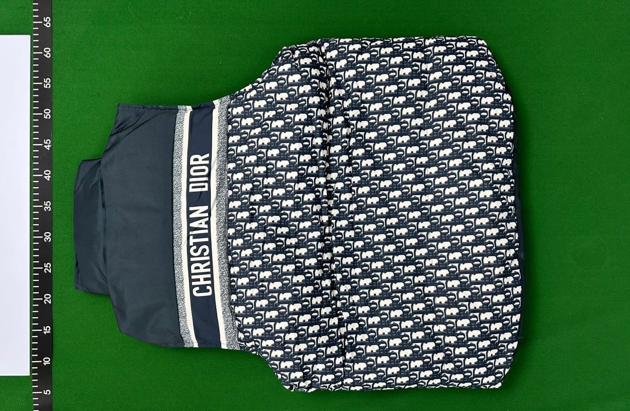 DIOR VEST