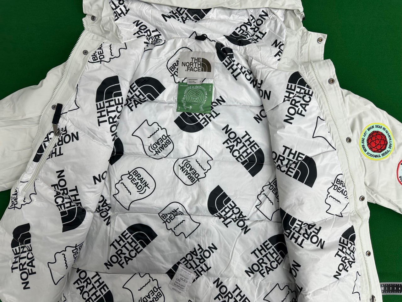 The North Face Down Jacket