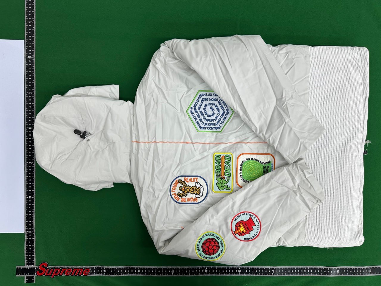 The North Face Down Jacket