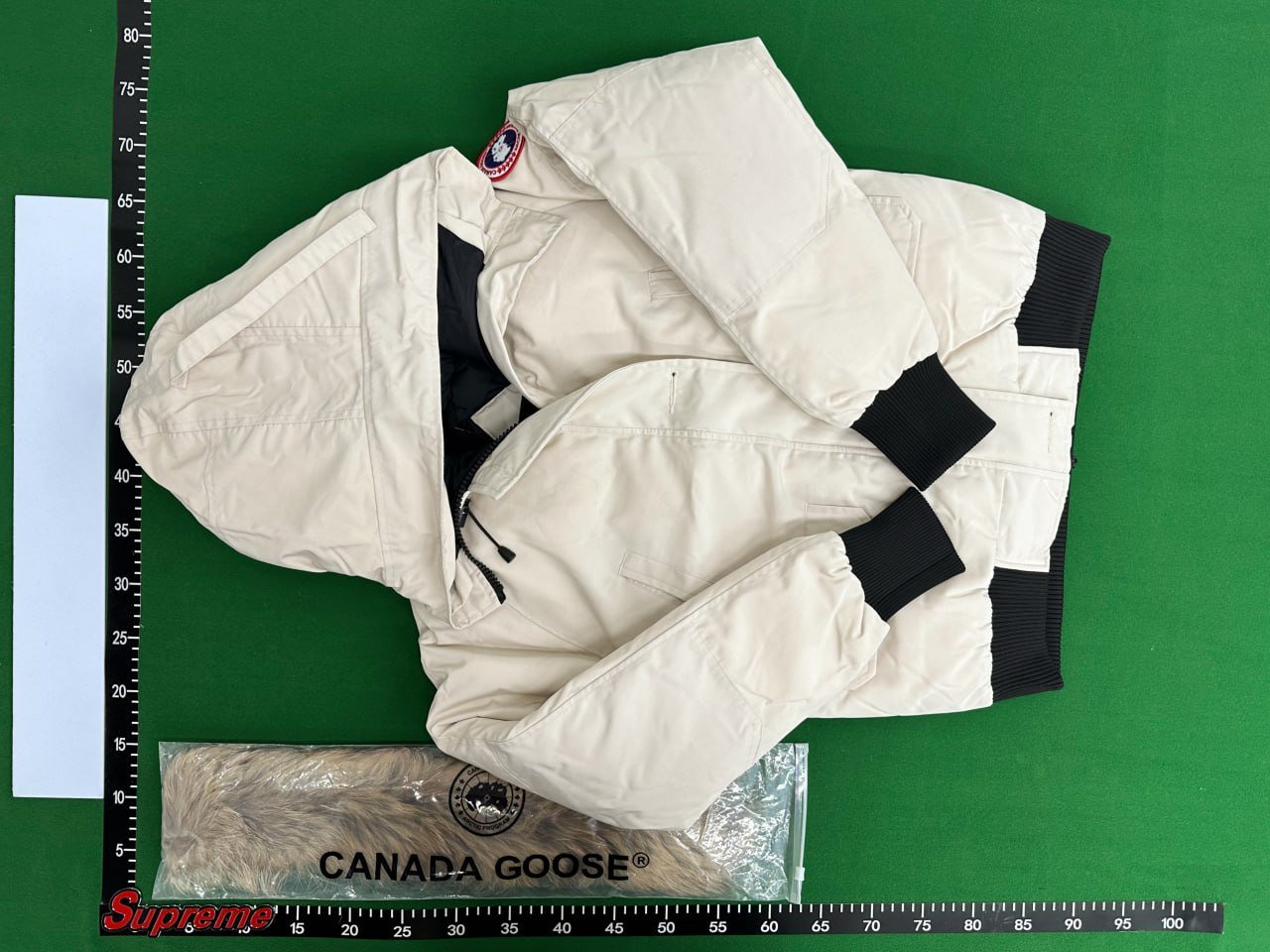 Canada Goose Down Jacket
