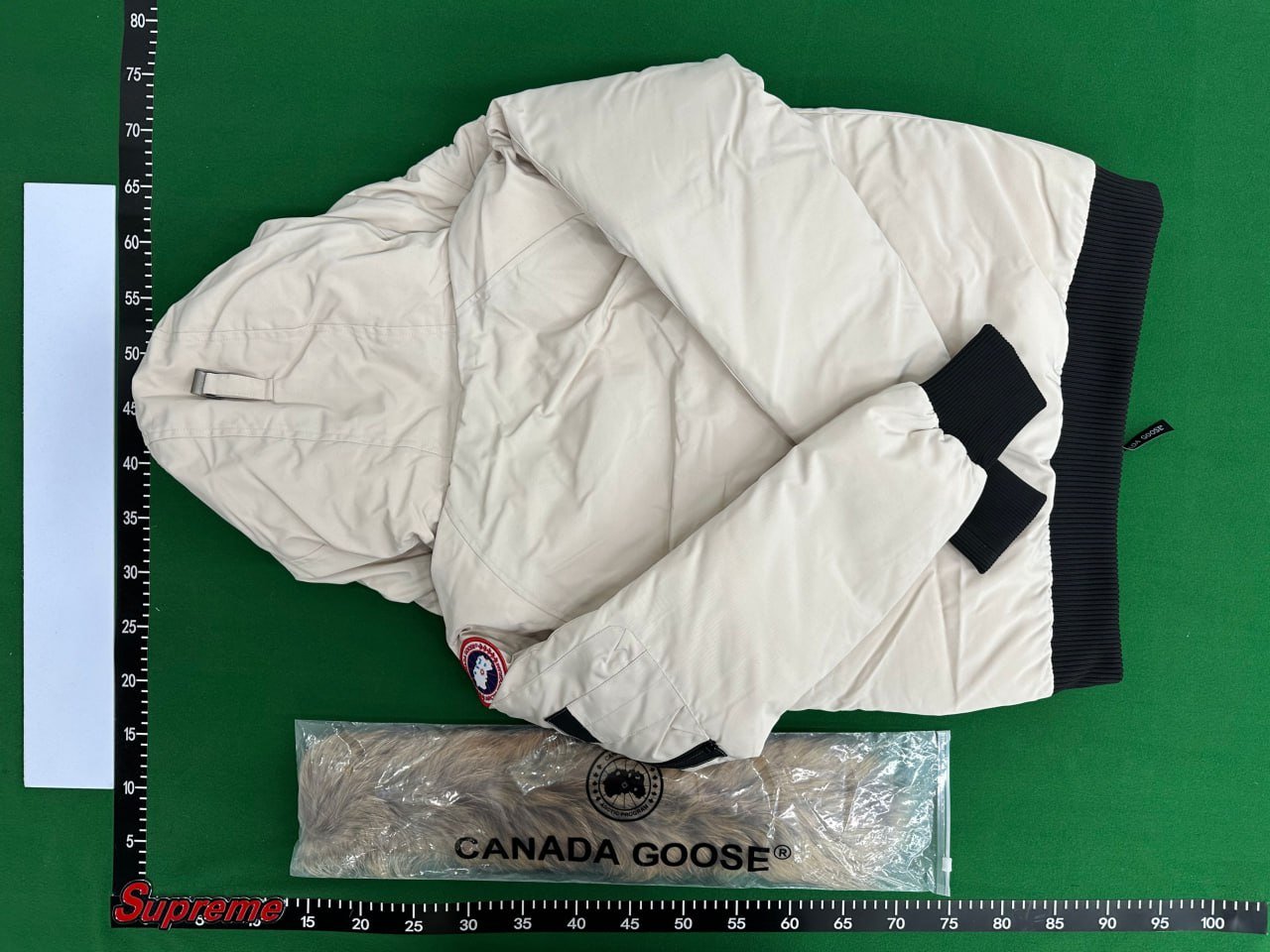 Canada Goose Down Jacket