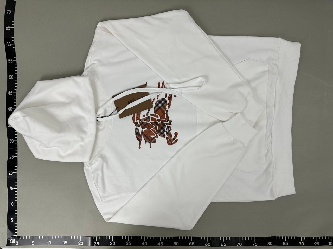 Burberry Hoodie