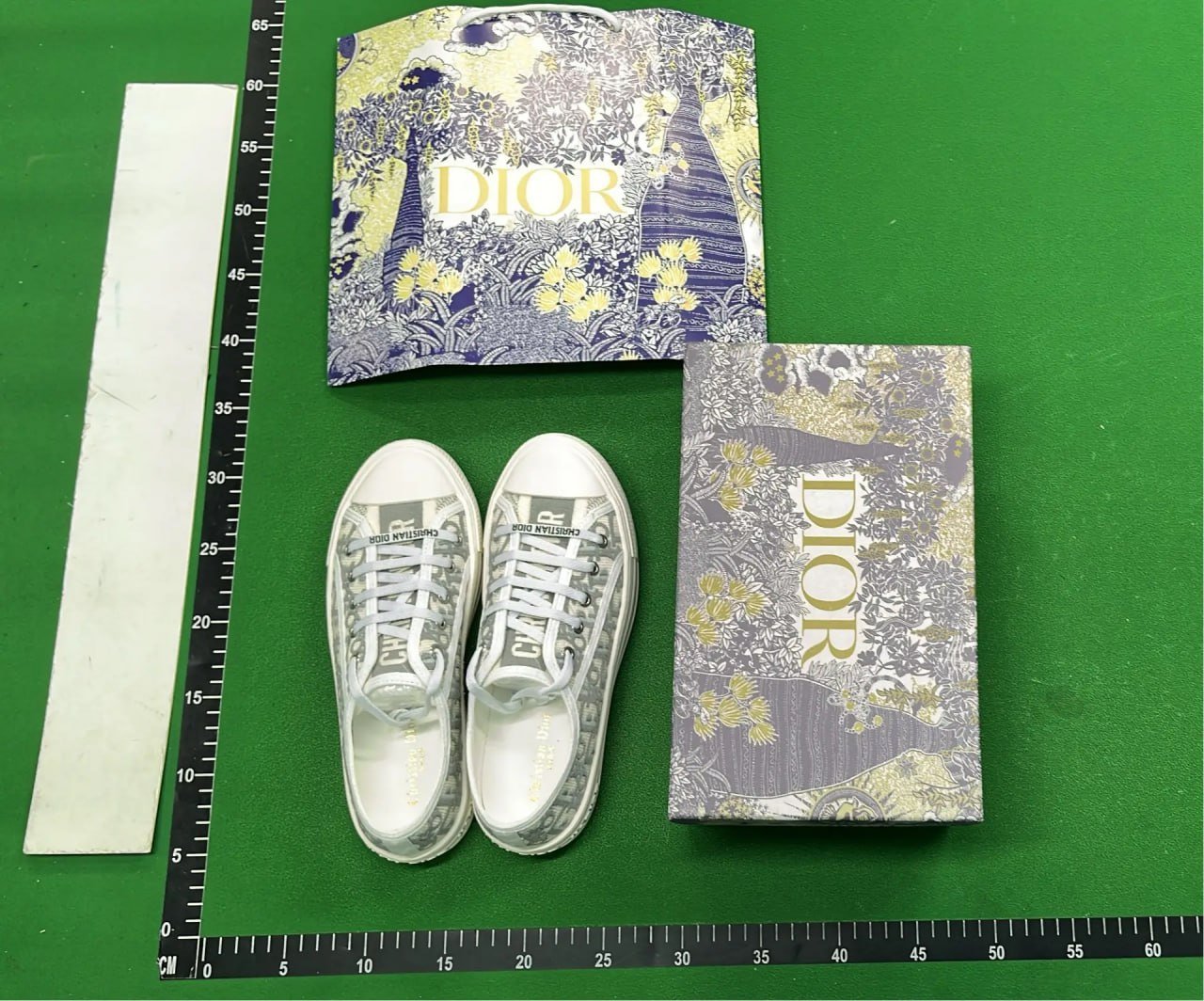 Dior shoes