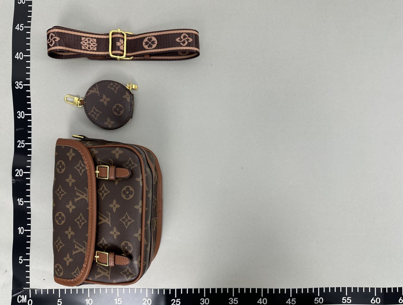 Louis Vuitton Bag