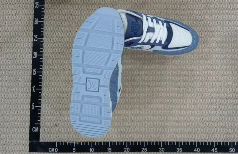 louis vuitton shoes