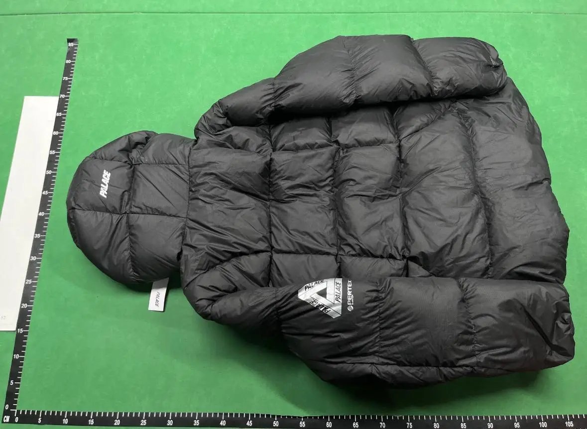 Palace Puffer