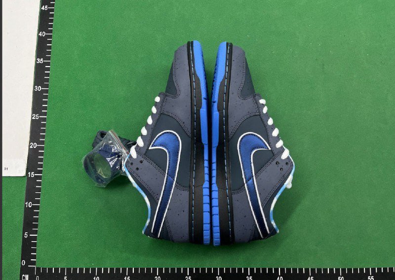 Nike DUNK