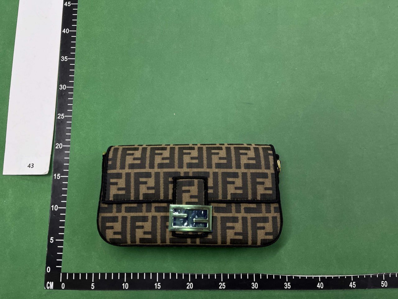 FENDI bag