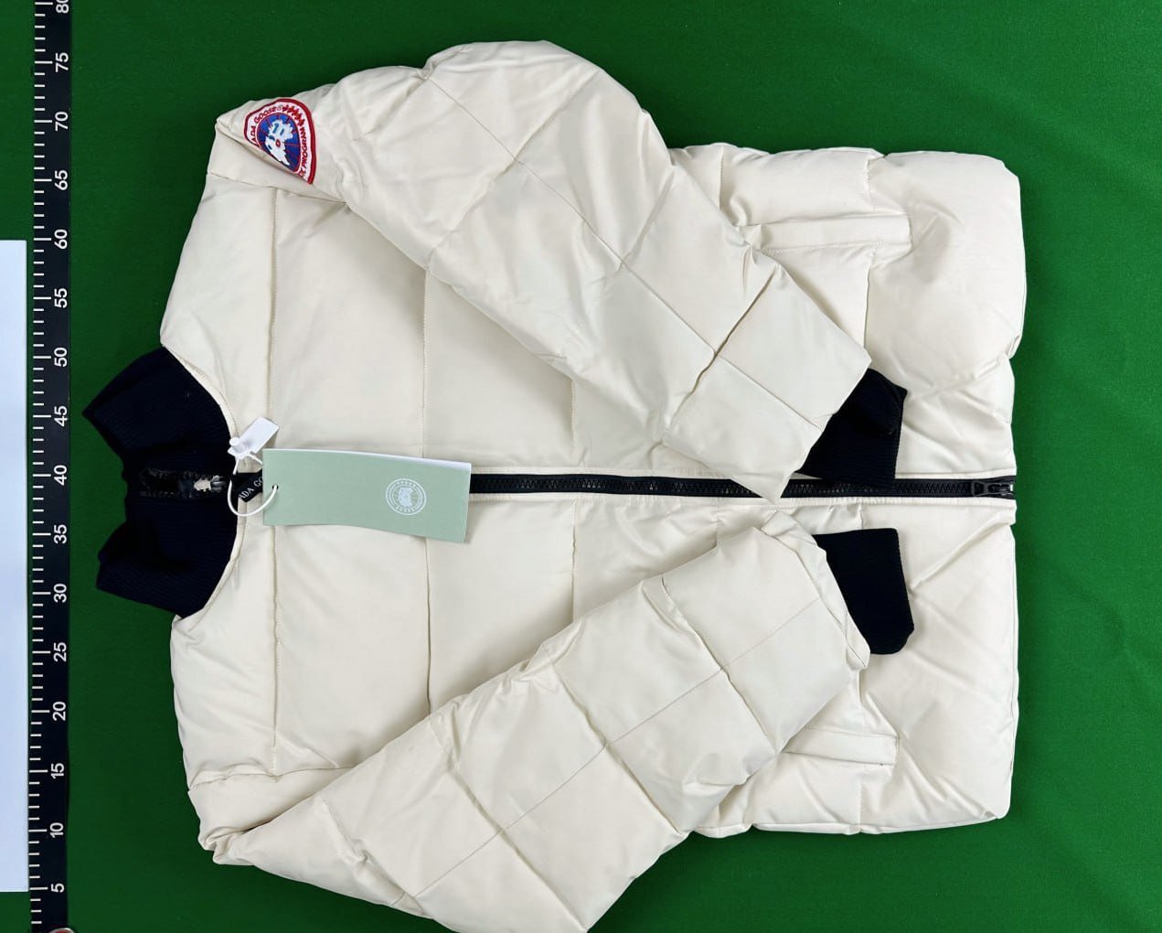 Canada Goose Puffer