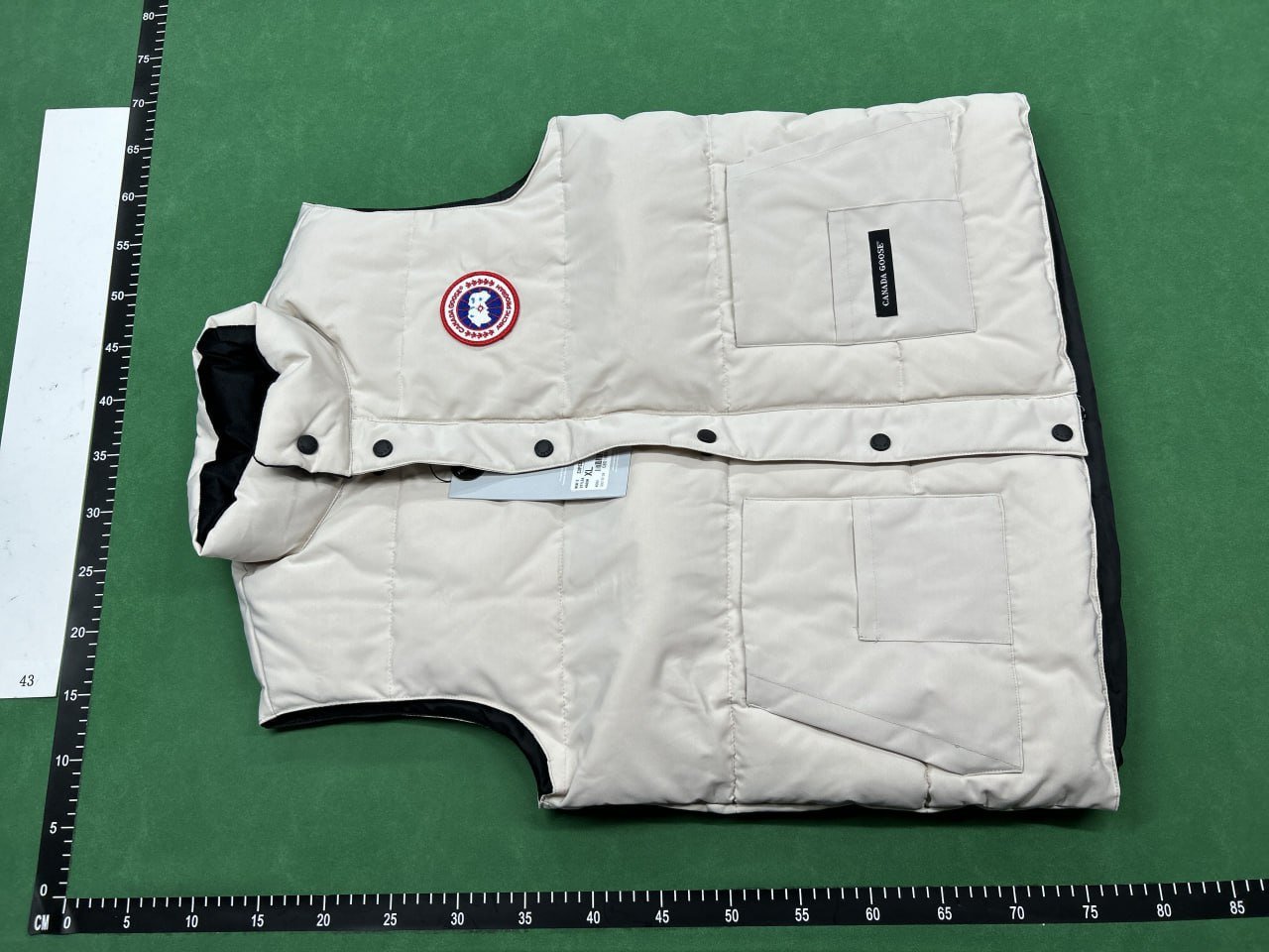 Canada Goose & The North Face Vest