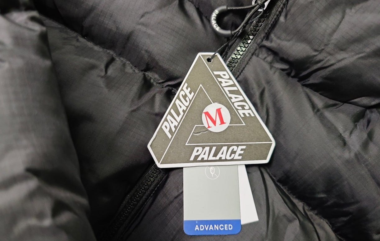 Palace Puffer